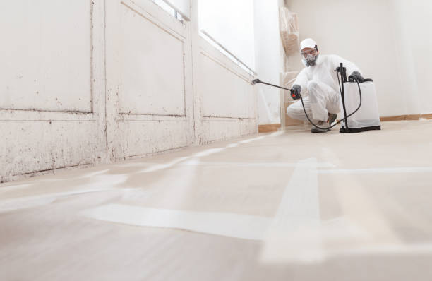 24/7 Emergency Mold Removal experts in Annandale, VA