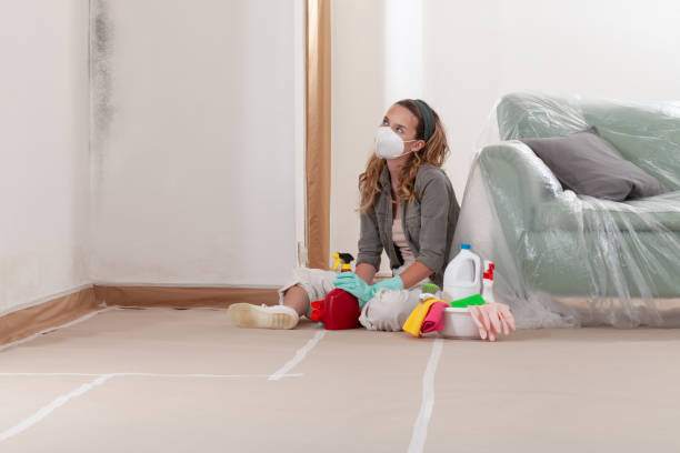 Reliable Mold Removal contractor in Annandale, VA by WQB Mold Removal